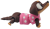 IMG_20260716_214626.png